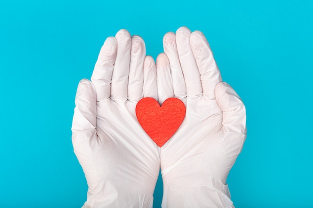 Hands in medical gloves holding a red heart shape model on blue background. Cardiology. organ donation or Healthy heart concept