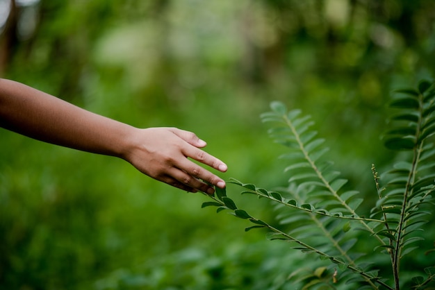 Photo hands and nature love bright love have to give each other love and beauty in a natural way.