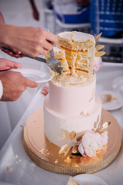 The hands of the newlyweds cut the cake into pieces 3821