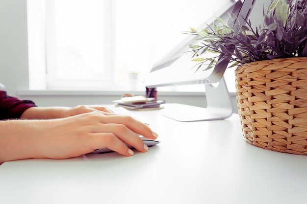 Hands of an office woman typing