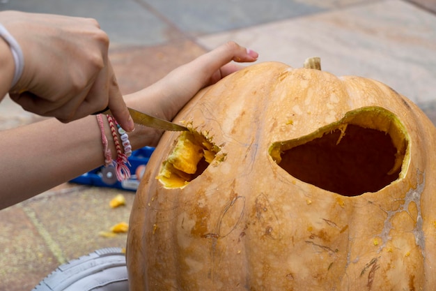 Hands of old male farmer raises above his head large pumpkin on garden bed harvesting concept