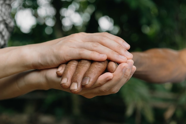 Hands of the old man and a man hand