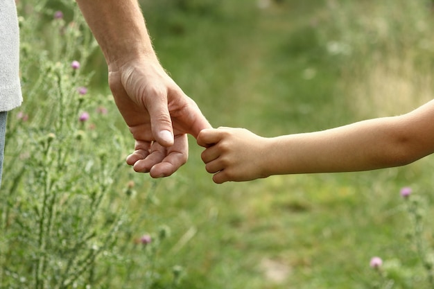 Hands of parent and child in nature