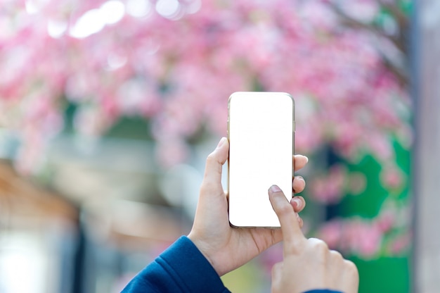 Hands and phones used for online communication 