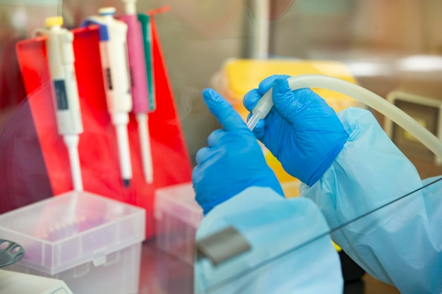 The hands of a physician laboratory assistant in an infectious disease laboratory