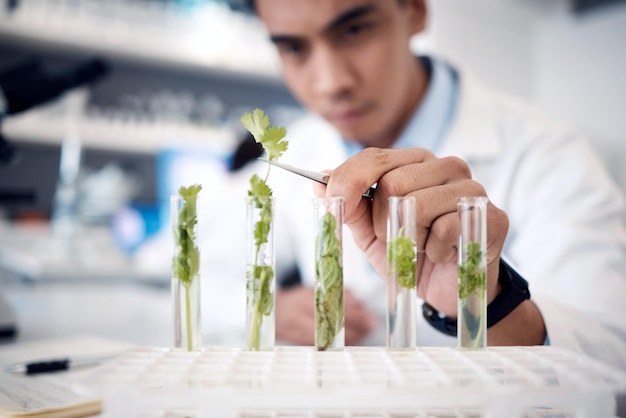 植物科学者と実験室の試験管を手で植物成長研究の気候変動ソリューションまたは有機医療分析に使用し、食品研究科学または農業革新のズームマンと労働者