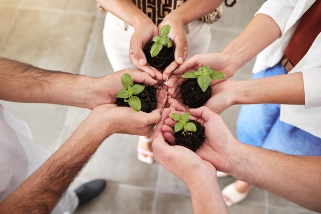 Photo hands plant and sustainability in a group of people together in a circle or huddle community collaboration for growth trust and eco friendly agriculture with soil dirt and hope and green plants