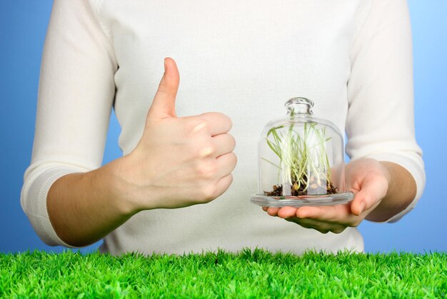 Hands protect grass under glass cover