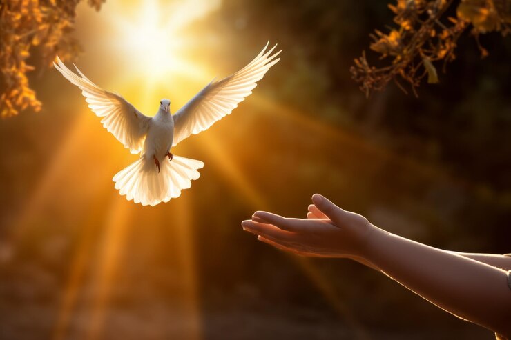 Hands reaching out to a dove flying out international peace day concept