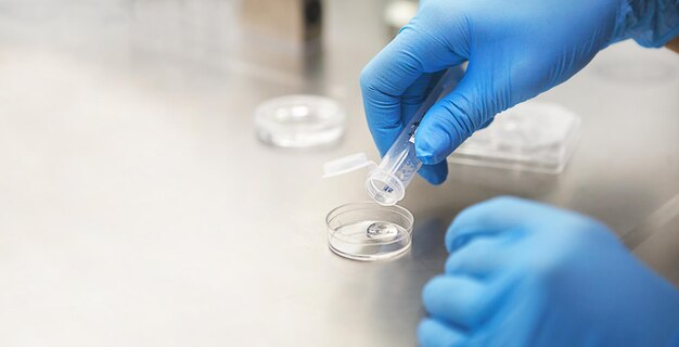 실험실에서 실험관과 현미경을 가진 과학자의 손, 백신의 발명, 인공 수정의 클리닉에서 의사의 손, IVF 테스트, 난자의 수정.