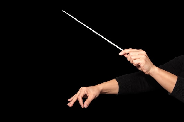 Hands of a simphony orchestra conductor