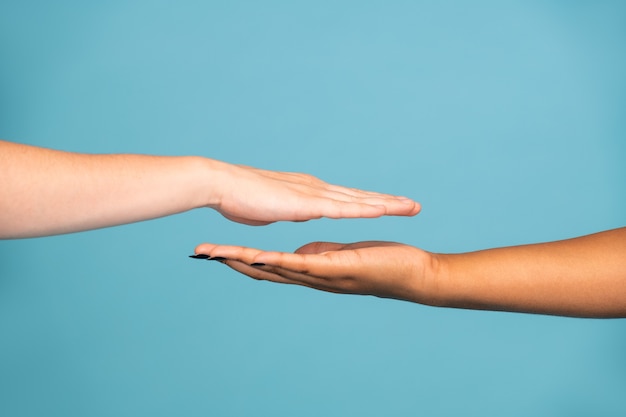 Hands of two young women of Caucasian and African ethnicities with white and dark skin opposite each other against blue background