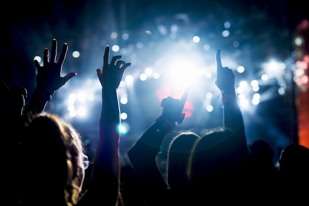 Hands up in the air raised crowd arms.