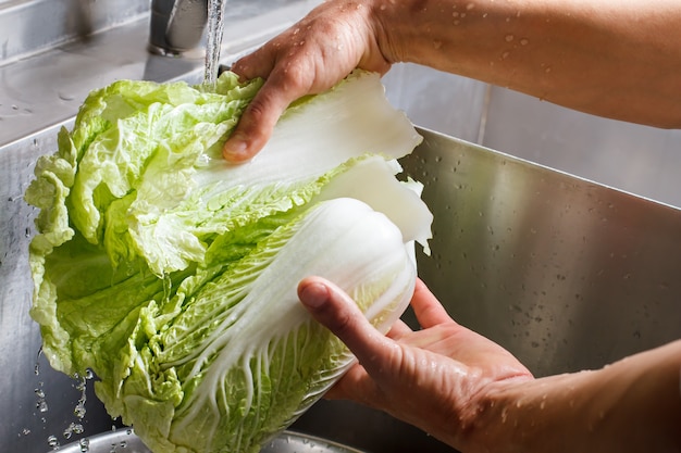 Hands washing chinese cabbage. Chinese cabbage washed in sink. First stage of preparing salad. Eat well and stay healthy.