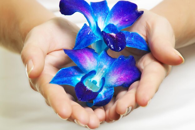 hands with flower