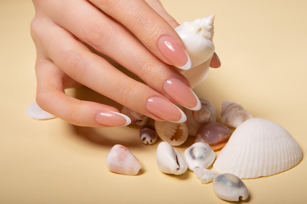 Hands with long artificial nails with french manicure holding seashells