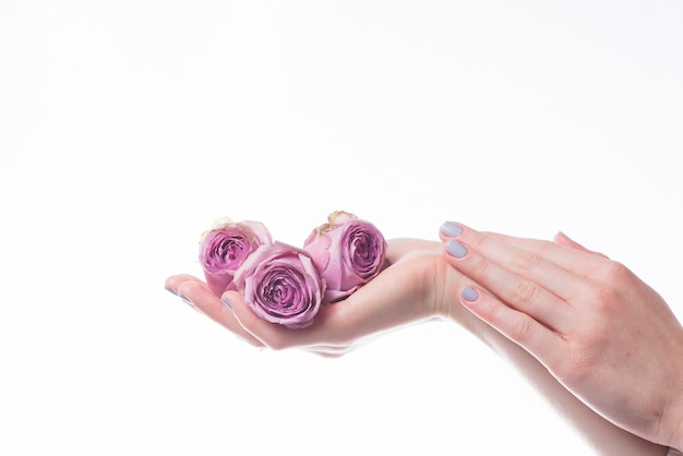 Photo hands with roses