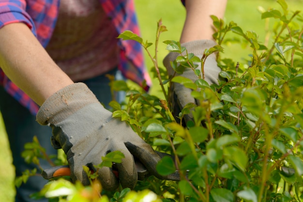 Hands woman gardening in her garden.