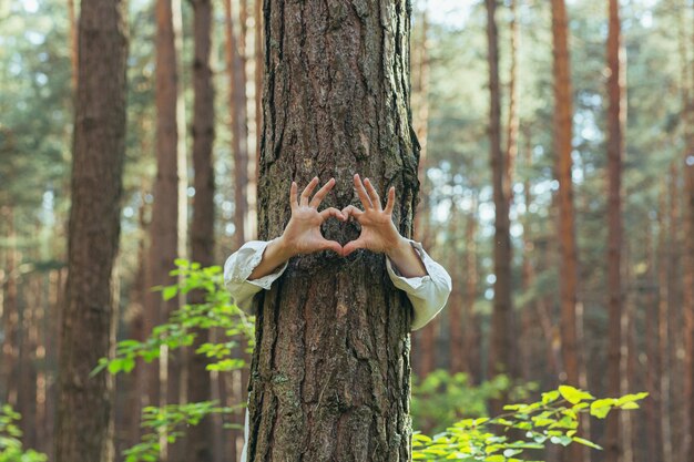 Hands of a young woman hug a tree in the forest and show a sign of heart and love for nature