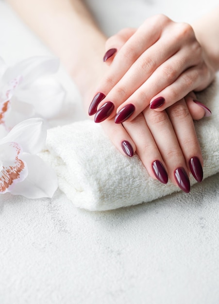 Hands of a young woman with dark red manicure on nails