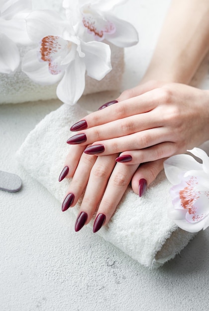 Hands of a young woman with dark red manicure on nails