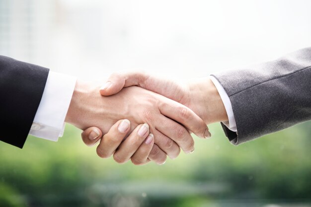 Photo handshake businesswoman colleagues deal concept