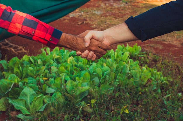 Foto stretta di mano tra agricoltore e cliente, orto