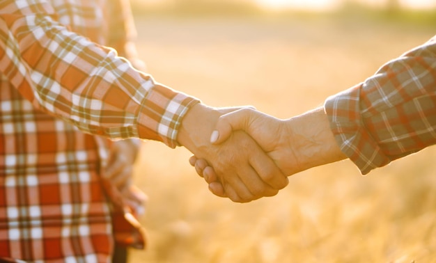 Stretta di mano due contadini in piedi in un campo di grano e si stringono la mano al tramonto concetto di raccolta