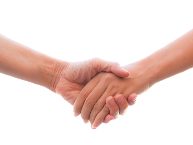 handshake in white background