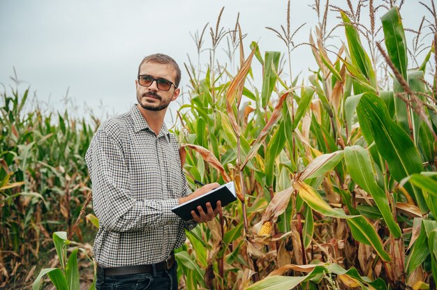 Bello agronomo tiene tablet touch pad computer nel campo di mais ed esamina i raccolti prima della raccolta