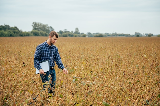 Красивый агроном держит планшетный компьютер с сенсорной панелью на соевом поле и осматривает урожай перед уборкой