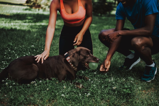 Handsome Black Man Walking Brown Dog in Park