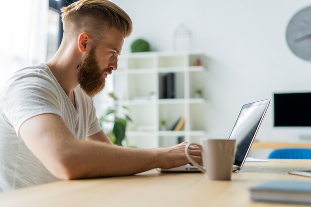 Handsome businessman working with laptop in office.