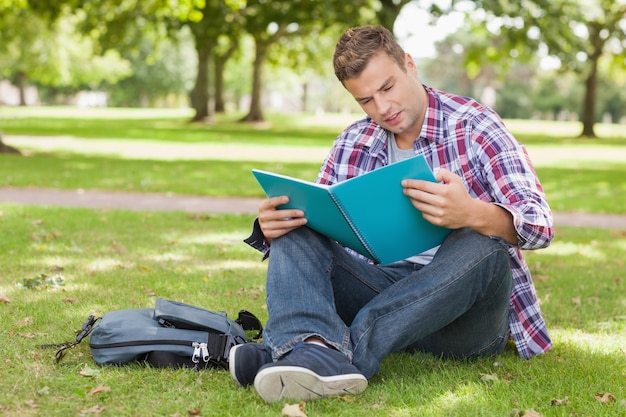 Handsome concentrating student sitting on grass studying