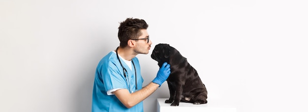 Handsome doctor veterinarian examining black pug vet kissing and petting cute dog white background