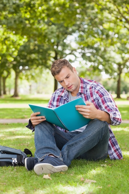 Красивый сосредоточенный студент, сидя на траве, изучая
