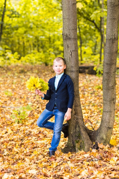 Handsome little boy in sunny autumn park with maple leaves