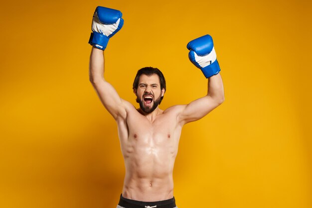 Handsome man in boxing gloves enjoys victory.