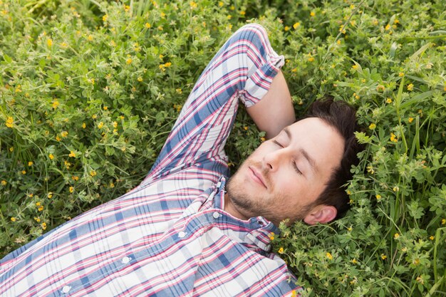 Handsome man relaxing in field