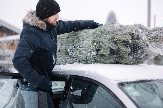 Handsome man tying to put a christmas tree to the roof of the car to bring it home live fir tree