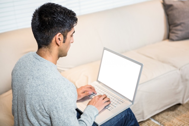 Handsome man using laptop on the sofa