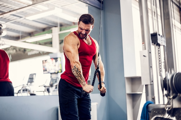 Handsome Muscular Fitness Bodybuilder Doing Heavy Weight Exercise For Triceps