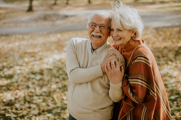 Handsome senior couple embracing in autumn park