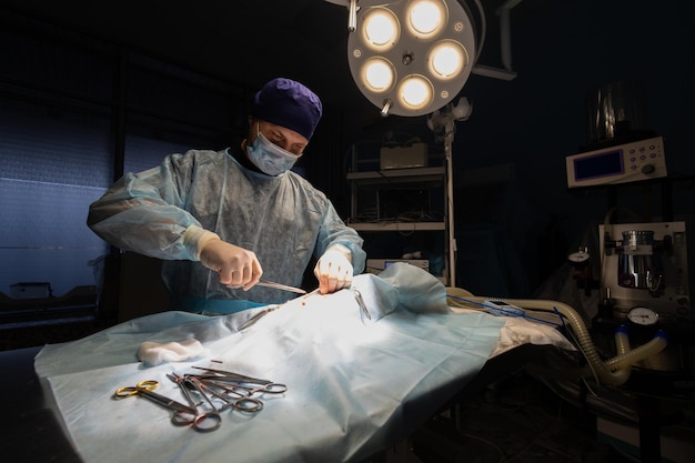 Photo a handsome veterinary surgeon in a dark operating room illuminated by a surgical lamp performs an