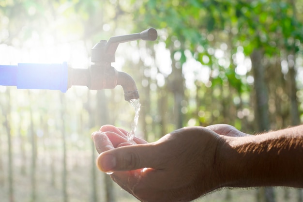 Handwas op achtergrond van de onduidelijk beeld de groene aard, het conservatieve concept van de Waterenergie