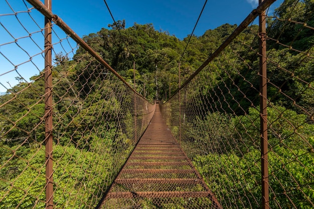 Hangbrug in het nevelwoud Volcan Baru National Park Chiriqui Panama Midden-Amerika