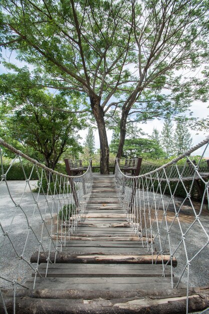 Hangbrug met grote boom