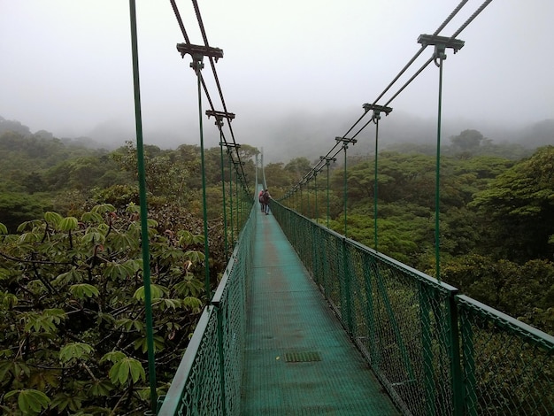 Hangende stalen brug in Monteverde Costa Rica aan het regenwoud