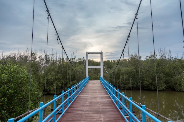 Ponte sospeso sull'acqua per attraversare il paesaggio acquatico