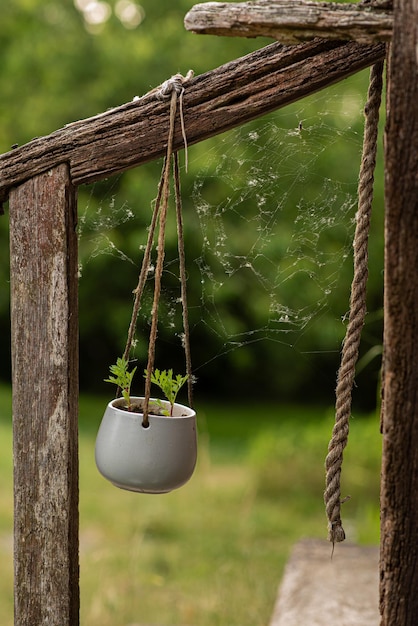 Hanging flowerpot on an old porch